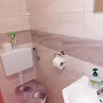 Fortuna Vendeghaz Egerszalók