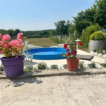 Fortuna Vendeghaz Pensionat 3*